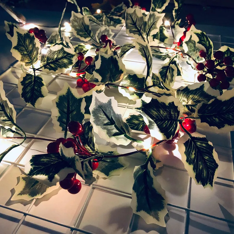 11116655628_171548661