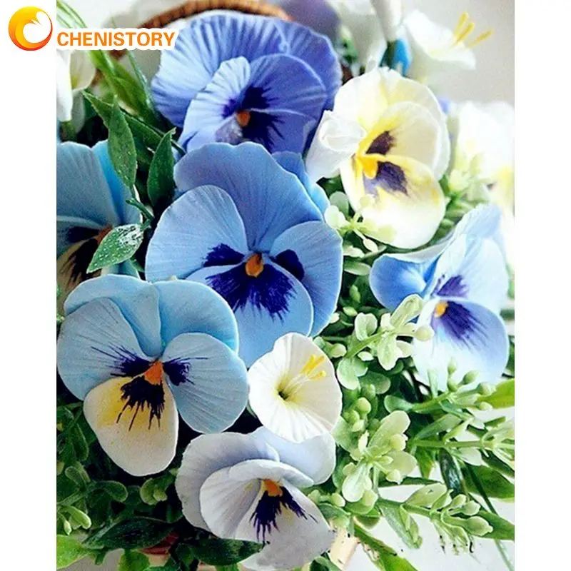 5906蝴蝶兰花封面图