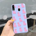 Case-c17
