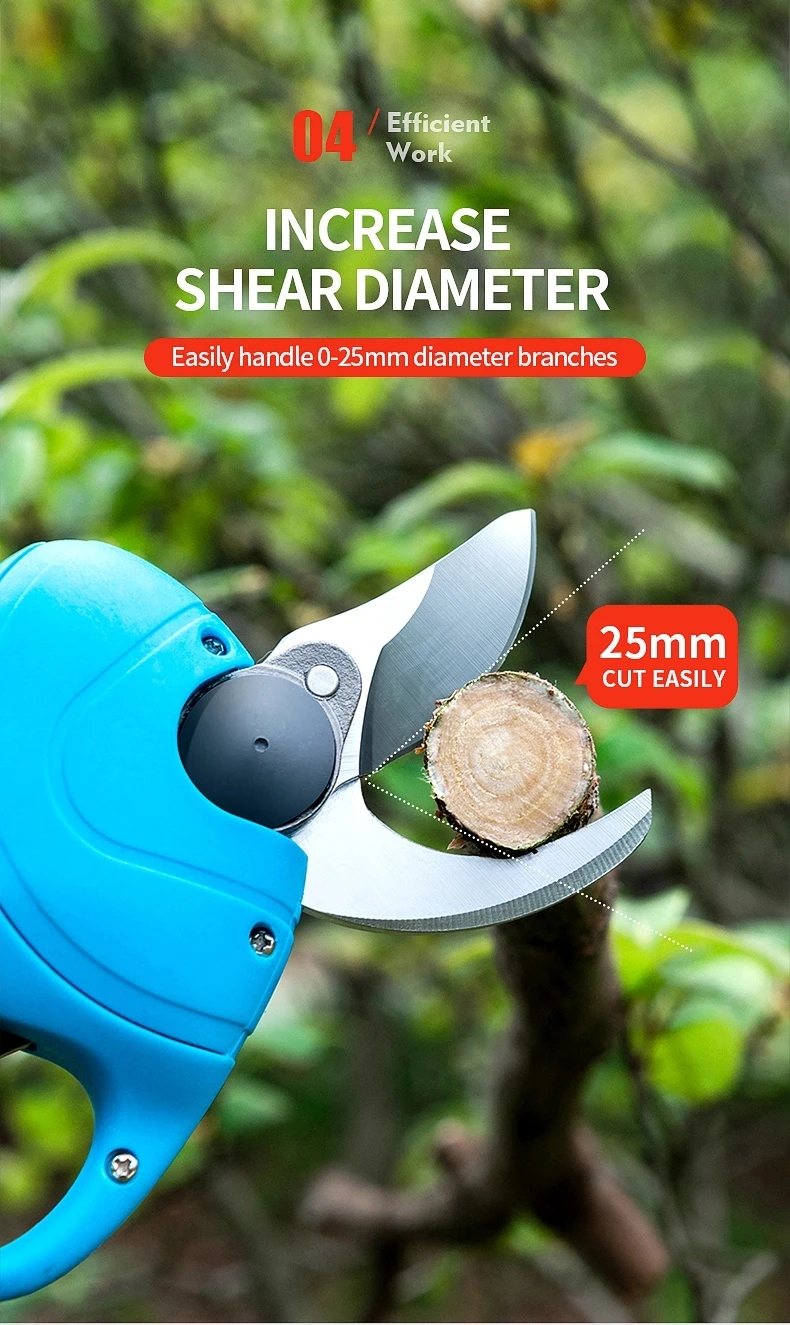 HTB1NK34a.GF3KVjSZFoq6zmpFXaG