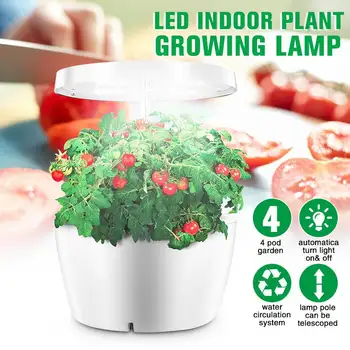 

Hydroponics System Intelligent Box with Grow Light Ecoo Grower Indoor Home Garden Nursery Pots Educational Toys for Children