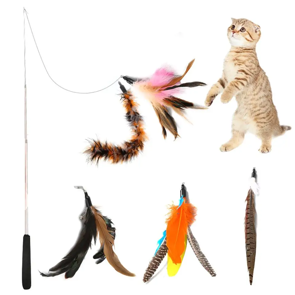 cat fishing pole toy