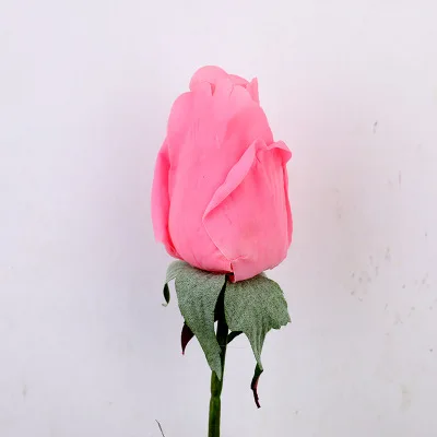 deep pink1 2 шт., настоящая на ощупь, латексная Роза, на ощупь, войлок, имитация для дома, свадьбы, Декоративные Искусственные Силиконовые розы, букет цветов - Цвет: deep pink1