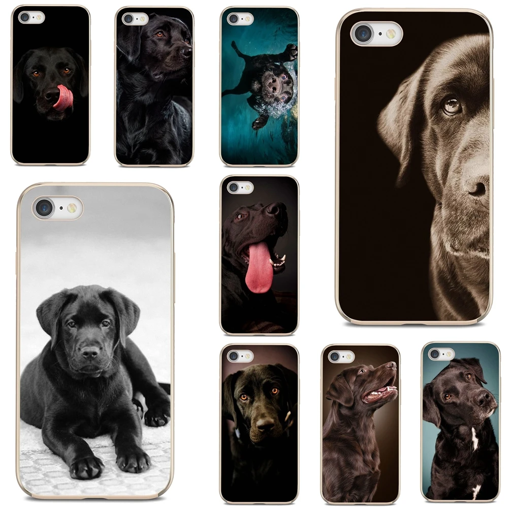 Мягкий чехол с рисунком hello Black Lab щенок Лабрадора для iPod iPhone 10 11 12 Pro Mini 4S SE 5C 6 6S 7 8 X XR