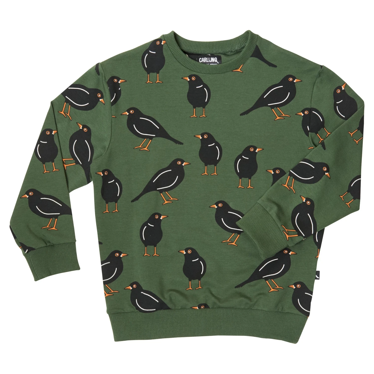  Kids Sweaters 2019 CarlijnQ Brand New Autumn Winter Boys Girls Bird Print Sweatshirts Baby Child Fa