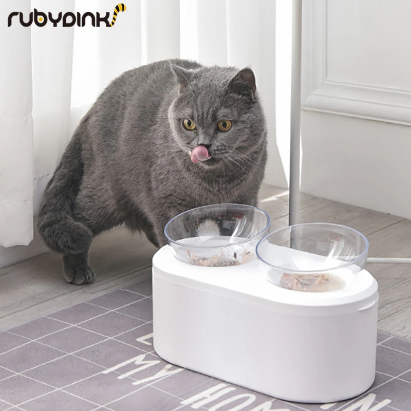 

Pet Cats Transparent Bowl with Holder Anti-slip Cat Food Dish Pet Feeder Water Bowl Perfect For Kitten And Small Dogs Supplies