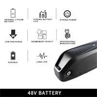 hailong battery 48v