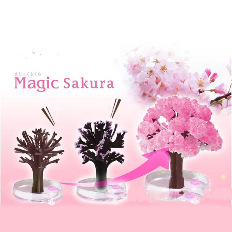 Magic Growing Tree Paper Sakura Crystal Trees Desktop Cherry Blossom Toys  Magic Sakura Tree Cherry Blossom