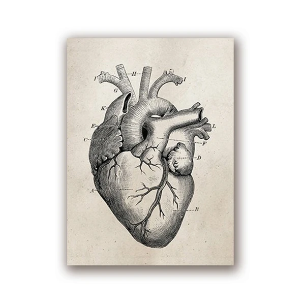 Quadro Su Tela Arte Deco Cervello - Stampa Medica Anatomia Umana - Poster Vintage Neurologia 60x80 Cm - Regalo Per Medici E Studenti Medicina