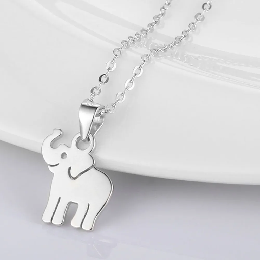 10684870302_1182436196