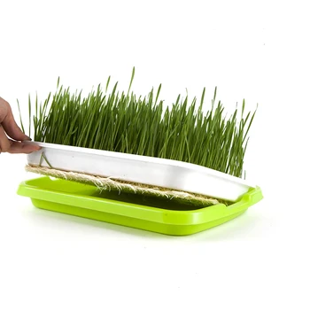 

Plastic Nursery Pots Seed Sprouter Tray PP Soil-Free Big Capacity Wheatgrass Grower Seedling Tray Sprout Plate Hydroponic