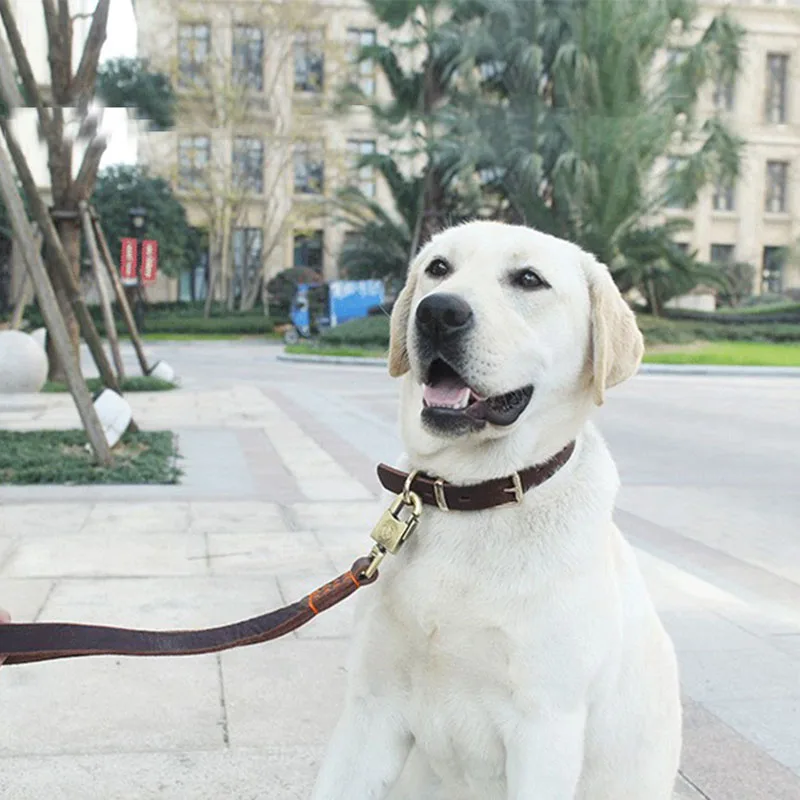 TB2ny1SmhXlpuFjSsphXXbJOXXa_!!20416621