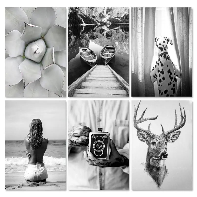 

PhotoCustom 60x75cm Oil Painting By Numbers Black And White Scenery Paint By Numbers On Canvas Animals Watercolor By Numbers