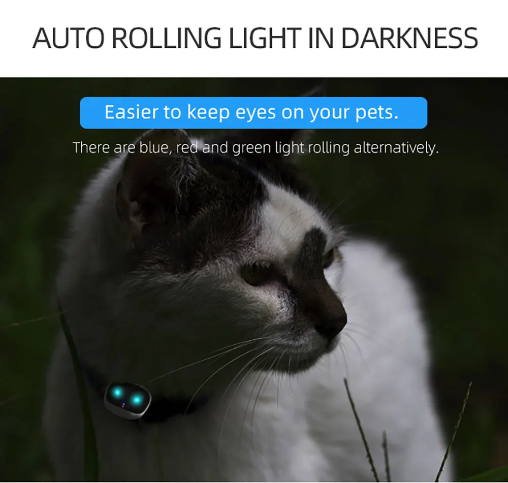 v47-宠物详情页英文版_10