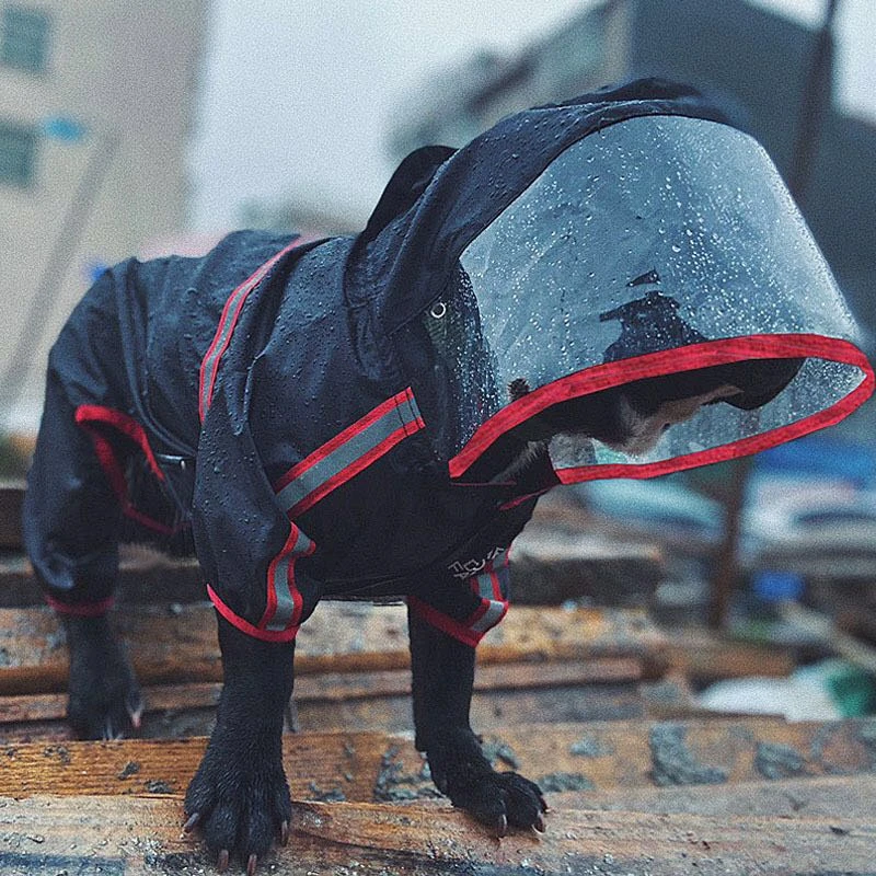 MR The Coat Suitable for Small Medium,Sleeveless Raincoat with Button, Travel Pet Product Lightweight Cat Rain Jacket STRONG Medium&Small Pet Rain Coat Transparent Medium Dog Rain Slicker MR The Coat Suitable for Small Medium,Sleeveless Raincoat with Button, Travel Pet Product Lightweight Cat Rain Jacket STRONG Medium&Small Pet Rain Coat Transparent Medium Dog Rain Slicker