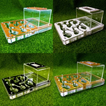 

Acrylic Flat Ants nest Ants Farm For Pet Ants House 195*145mm With Big Feeding Area