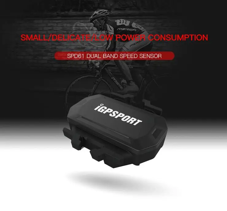 IGPSPORT компьютерный измеритель скорости муравей+ Датчик скорости и частоты вращения велосипеда и датчик частоты вращения муравья+ подходит для GARMIN iGPSPORT bryton - Цвет: spd61