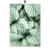 White Tulip Cactus Monstera Green Plant Wall Art Canvas Painting Nordic Posters And Prints Wall Pictures For Living Room Decor 9