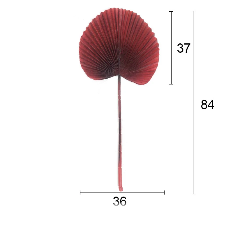 00ca7b17-2099-4ea8-9bd3-19d31b0180cc