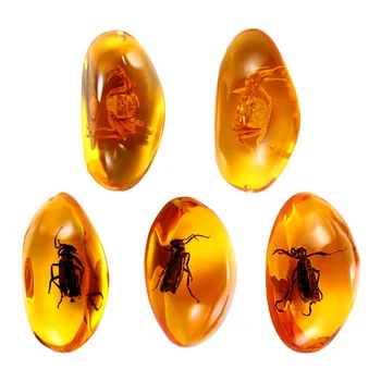 

VORCOOL 5pcs Amber Fossil with Insects Samples Stones Crystal Specimens Home Decorations Collection Oval Pendant (Random Pattern