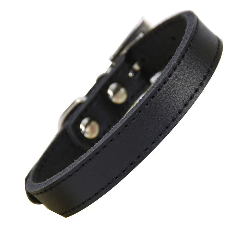 black dog collar