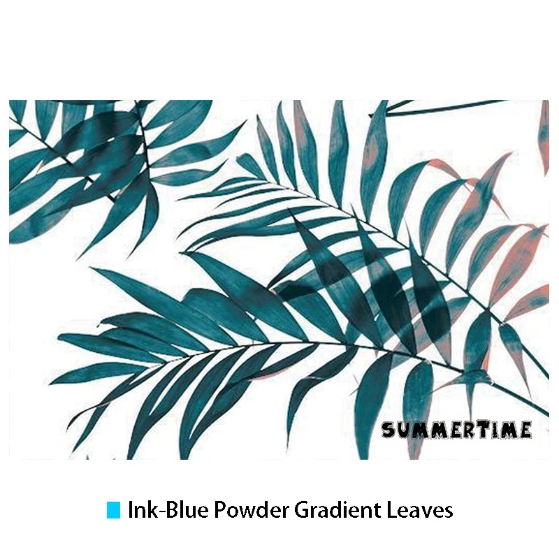 8981218898_112543107