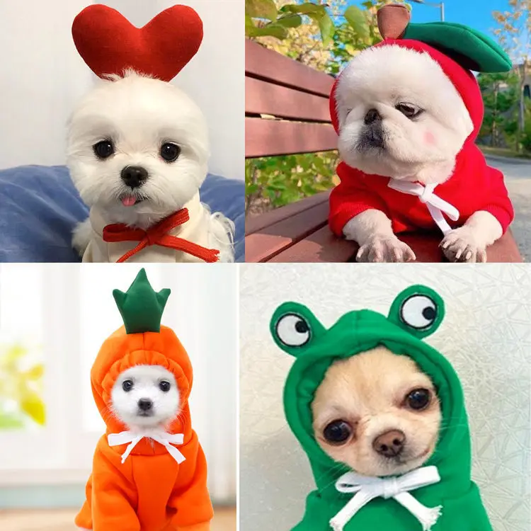 

Autumn and winter new pet clothes teddy kitty dog clothes small medium-sized dog cashmere sweater cartoon dress dog coat