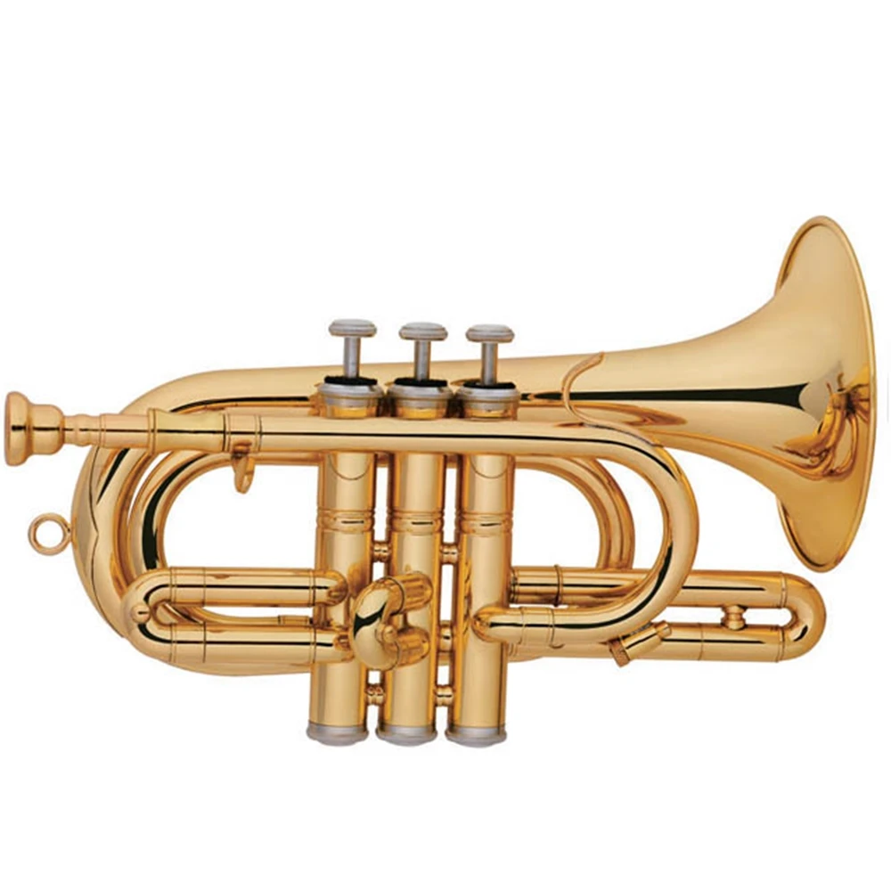 Gold lacquer Brass body Tone D Cornet