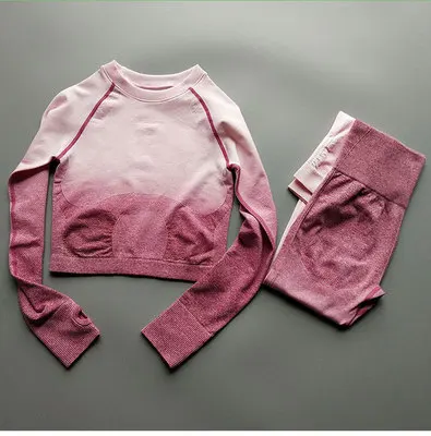 

New Sports Wear Women Gym Clothing Yoga Set Seamless Leggings Sports Bra Long Sleeve Fitness Crop Top Women's Sports Pants