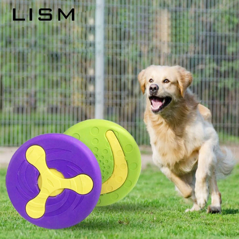 outdoor toys for large dogs