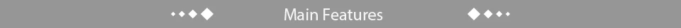 main features