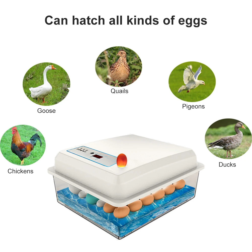 

50 Eggs Incubator Egg Incubator Fully Automatic Incubator Household Brooder Farm Chicken Incubator Bird Egg Incubator