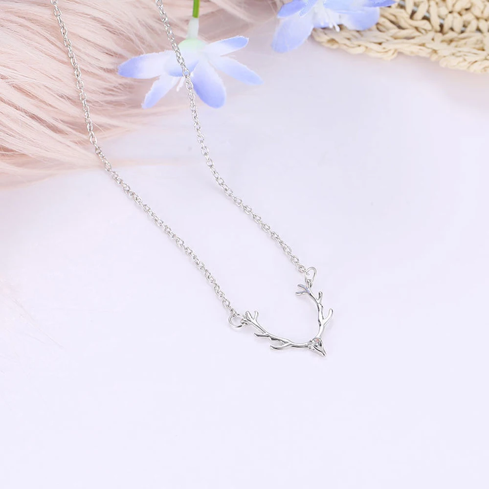 9093610028_2130544268