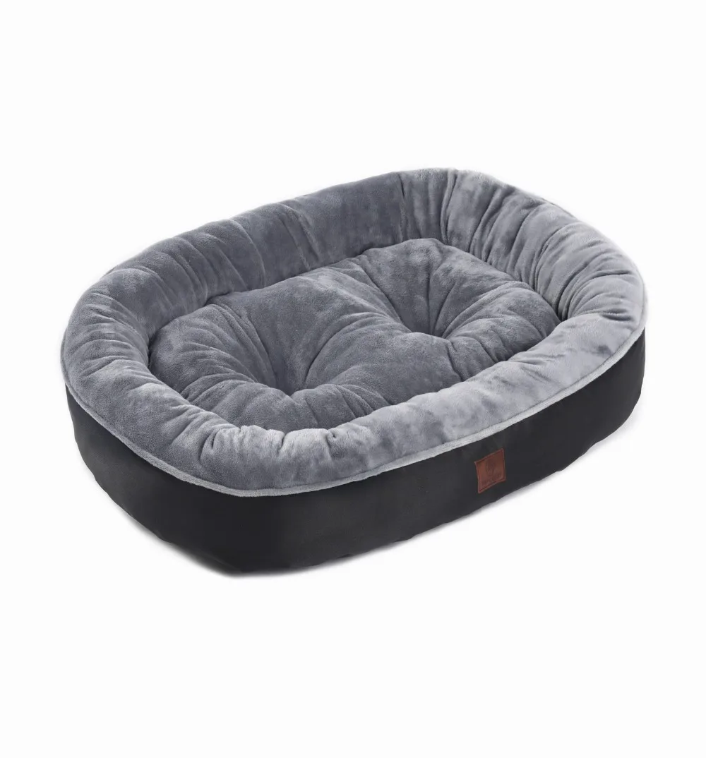 CS5A0522_副本_副本_副本