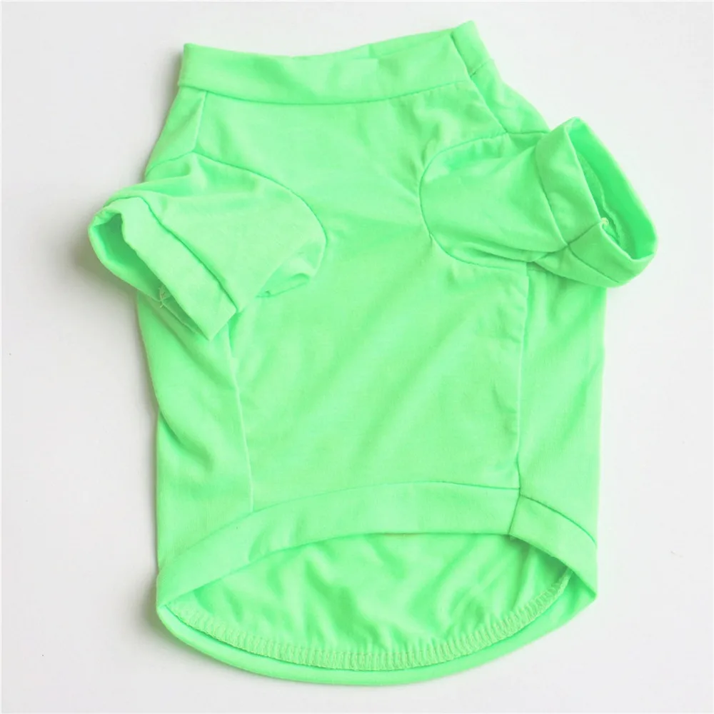 5271685267_361259826