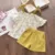 Bear Leader Girls Clothing Sets 2021 Летняя Детская Одежда Цветочный Шифон Холтер+Вышитые Шорты Соломенная Детская Одежда