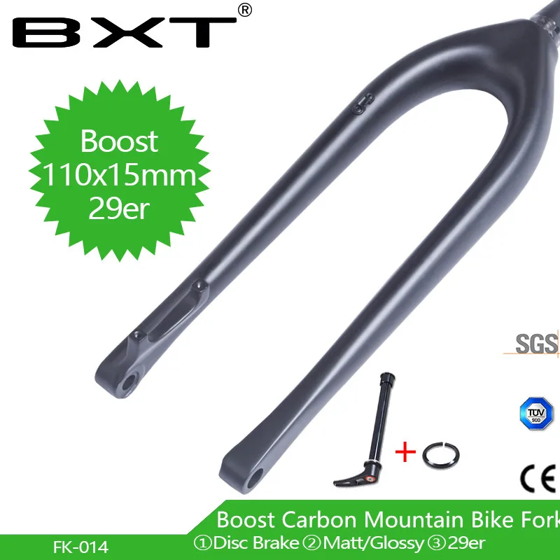 bxt carbon gabel