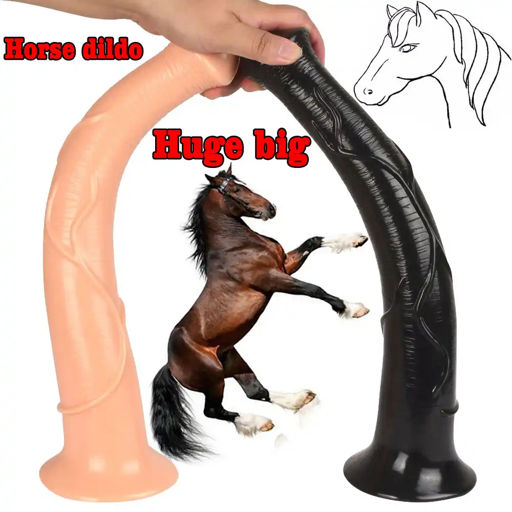 penis mare penis