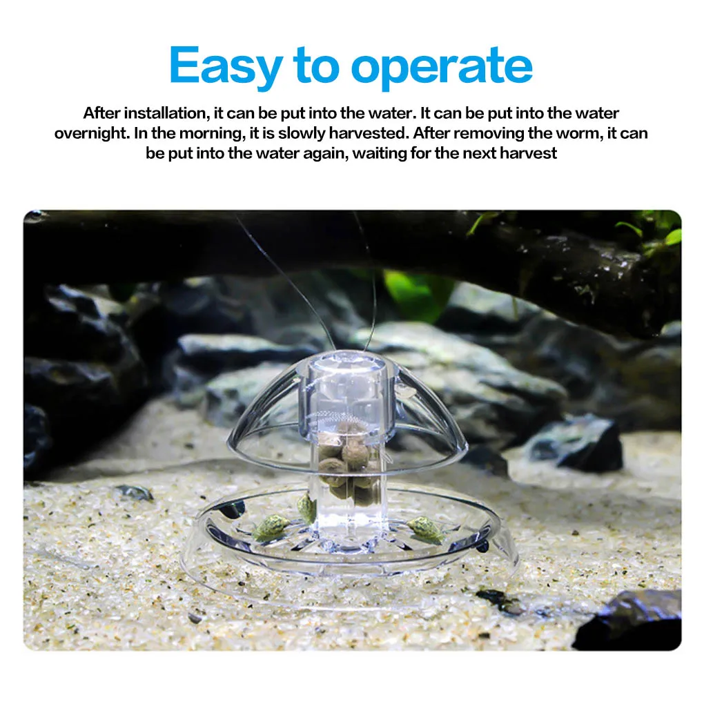 Gofidin Lot De 2 Poissons Plats à 3 Trous Pour Aquarium