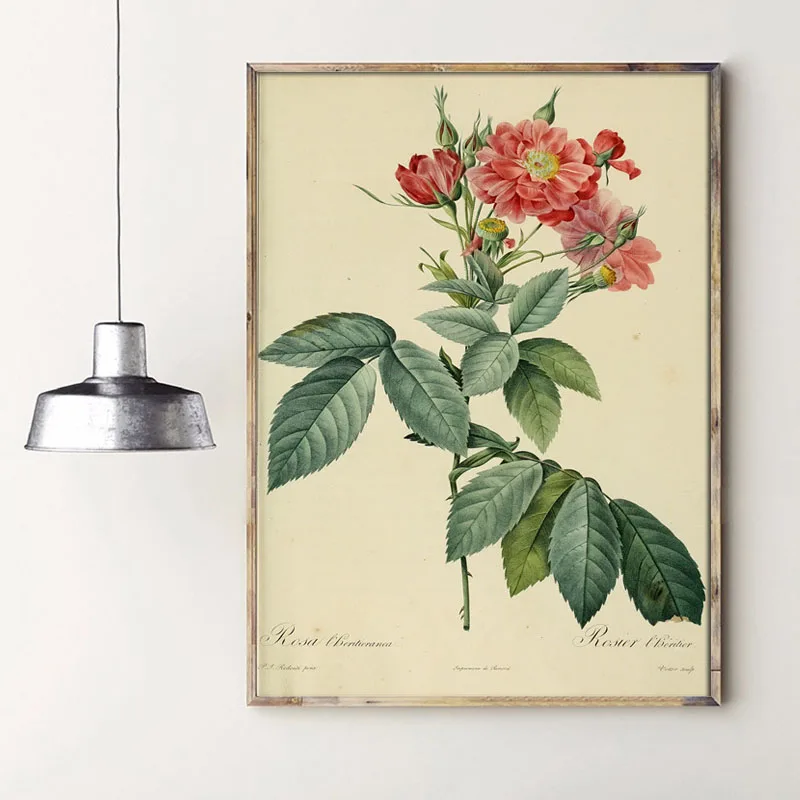 H64b639f0e55f4ffd9e4af58eda7b27435