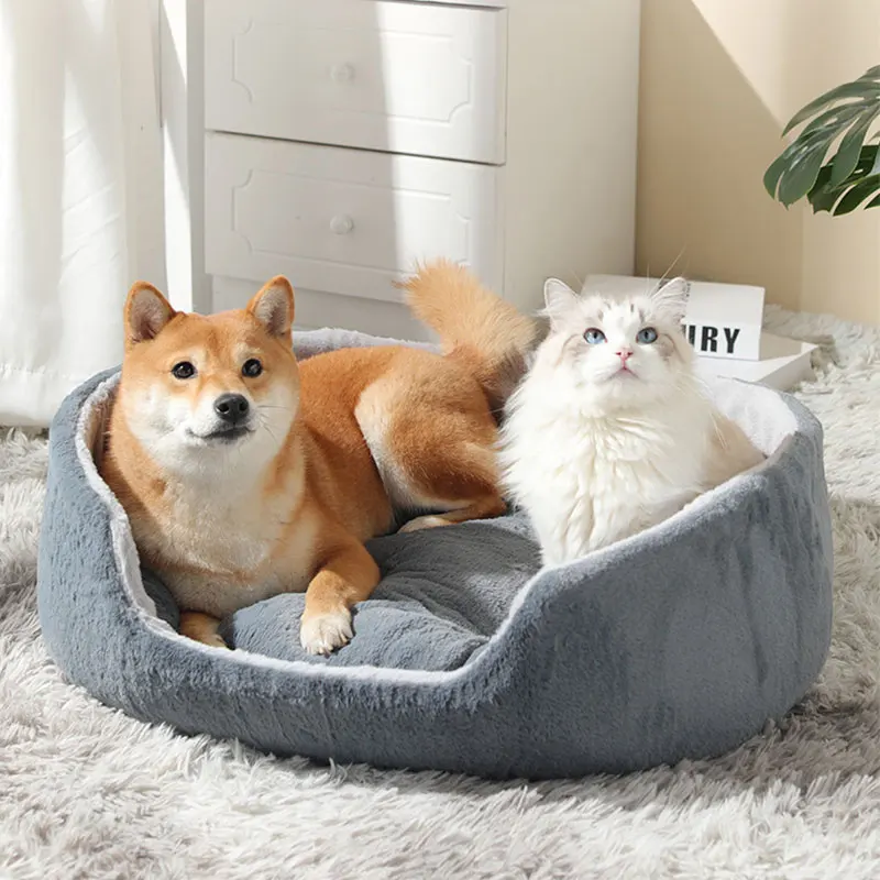 

Autumn Winter Warm Pet Dog Bed Beige Color Durable Medium Small Dog Cat's House Smooth 3D Velvet Kitten Cushion Lounger for Dogs