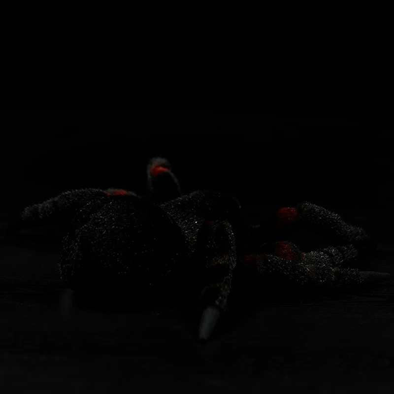 O1CN01wWBiyN1DnZzUmcYd5_!!22080261