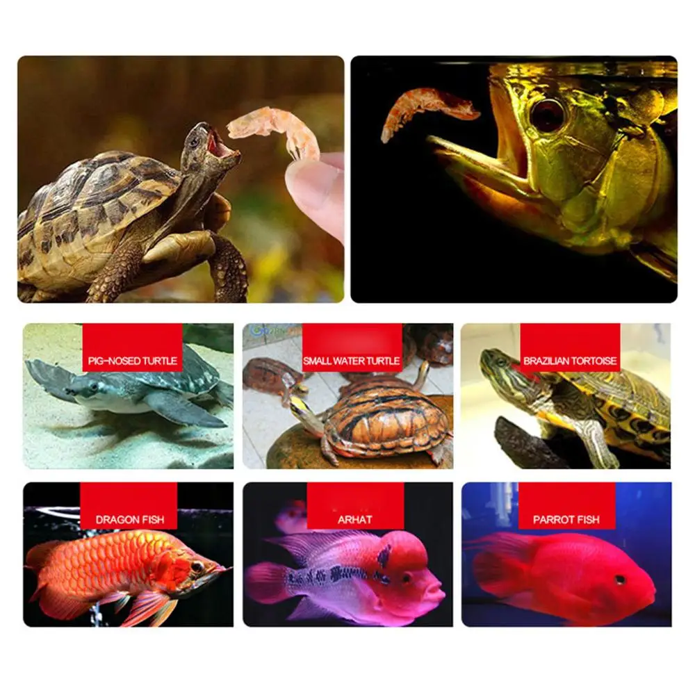 Аквариум для тропических рыбок продукты черепаха Arowana Кормление Замороженные сушеные креветки здоровые