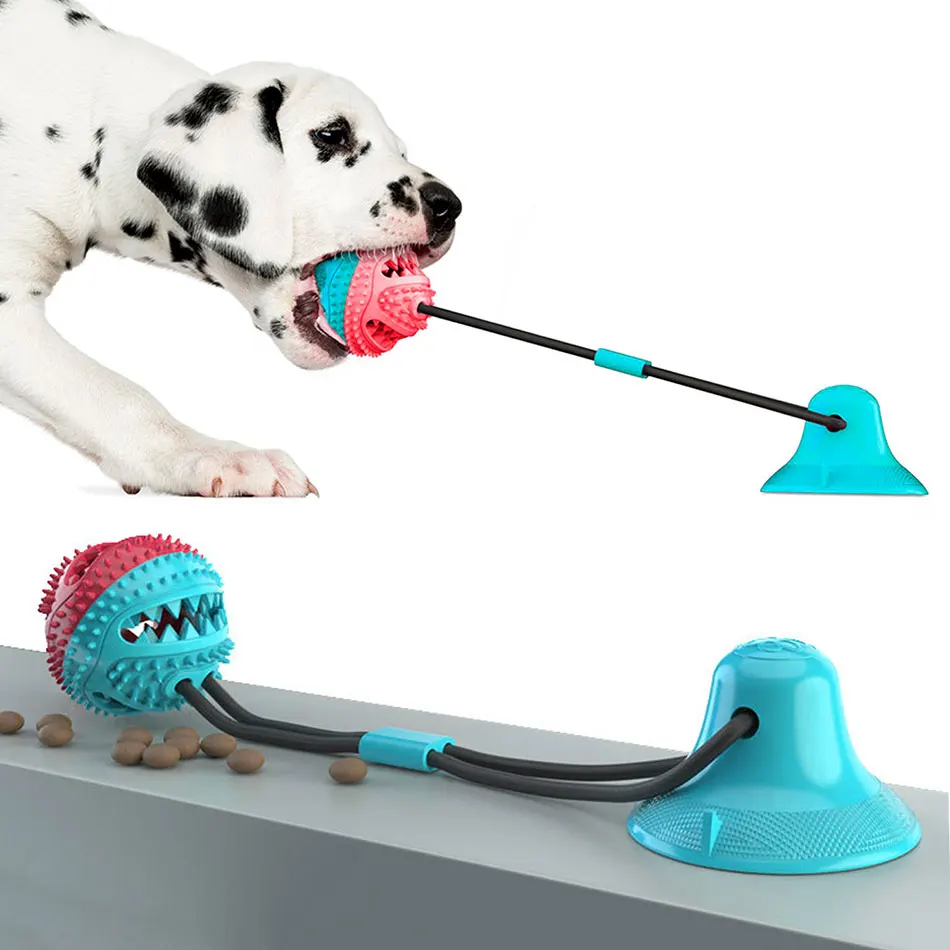Интерактивный присоска собака жевательные игрушки для кошек Pet молярная укус
