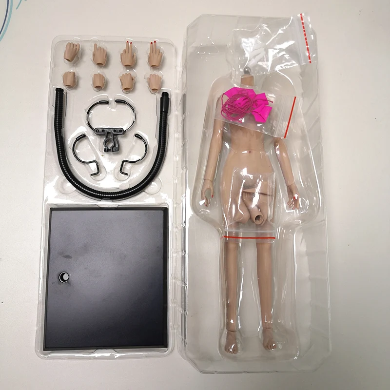 1/6 Scale Female Action Figure Body Super Flexible European Small ...