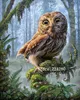 Animal owl Needlework Sets Cross stitch 14CT Unprinted Embroidery kits Arts Cross-Stitching,DIY Handmade Home Decor ► Photo 1/6