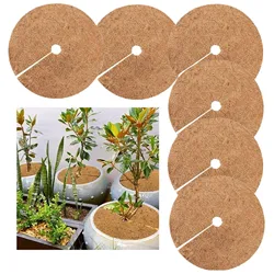 Fibres de noix de coco naturelles, Protection des plantes, tapis pour animaux de compagnie, répulsif pour bébé, sécurité pour protéger les enfants, tapis pour plantes, outil de jardin 