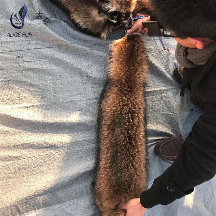 Raccoon skin27