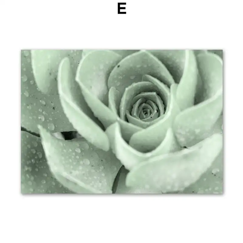 Wall-Art-Canvas-Painting-Cactus-Agave-Plant-Leaves-Abstract-Lines-Nordic-Posters-And-Prints-Wall-Pictures (7)