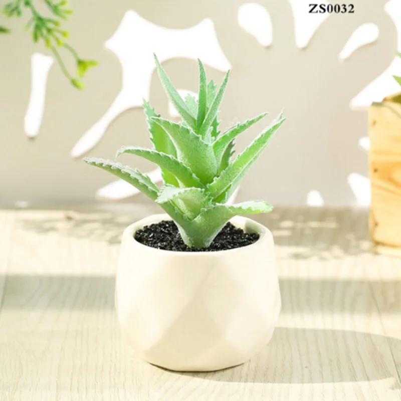 

Artificial Plastic Succulent Potted Plant Garden Desert Cactus Decoration